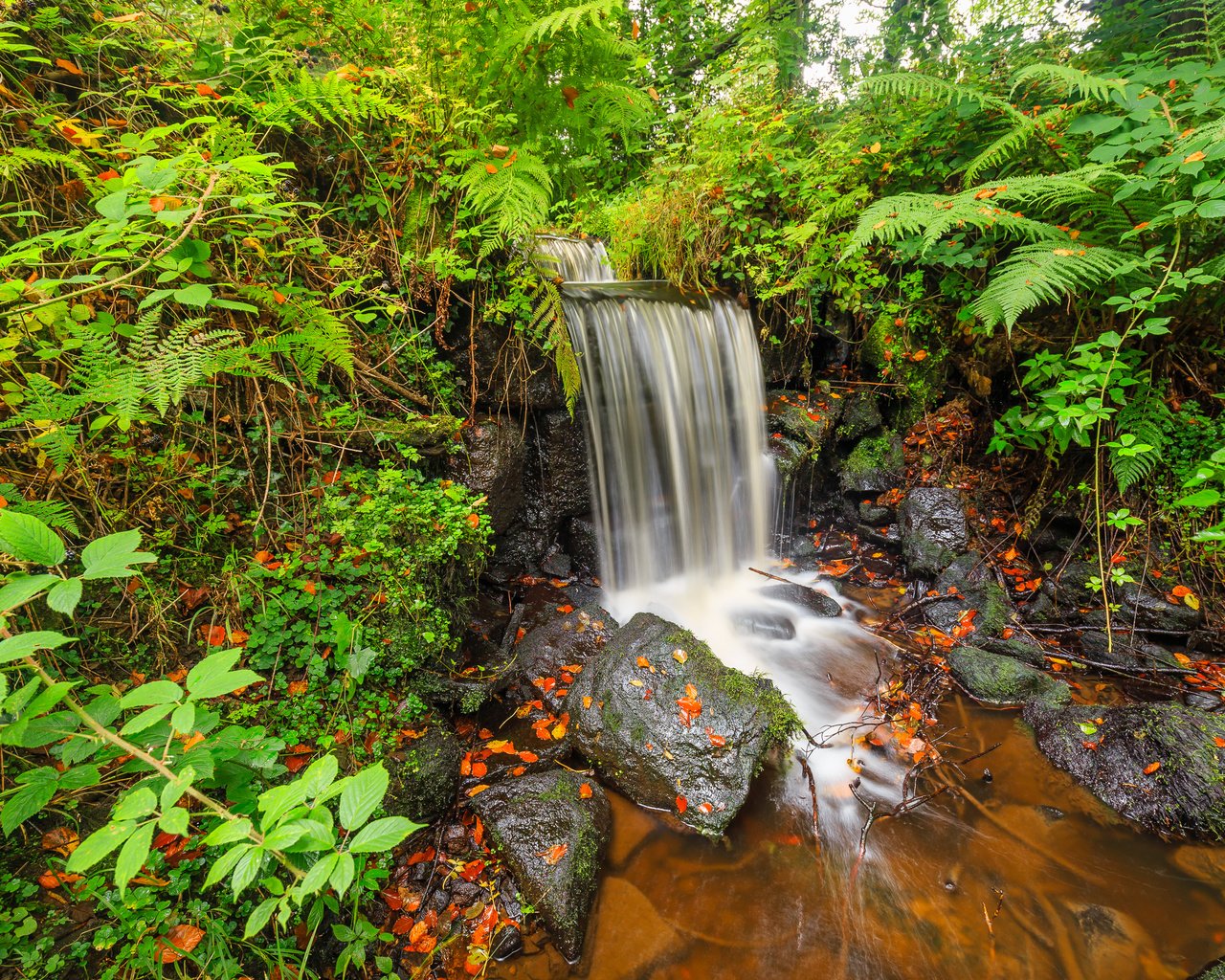 Обои природа, камни, растения, ручей, водопад, осень, папоротник, nature, stones, plants, stream, waterfall, autumn, fern разрешение 2738x1825 Загрузить