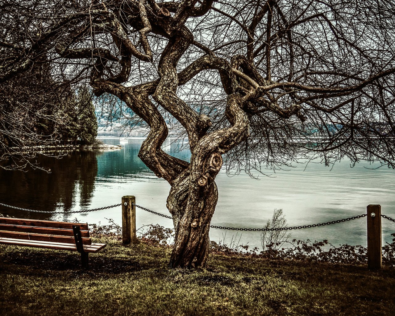 Обои дерево, море, скамья, tree, sea, bench разрешение 5625x3740 Загрузить