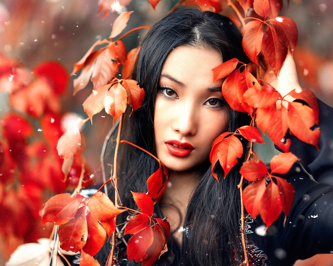 Обои снег, листья, макияж, huan, алессандро ди чикко, snow, leaves, makeup, alessandro di cicco разрешение 2048x1366 Загрузить