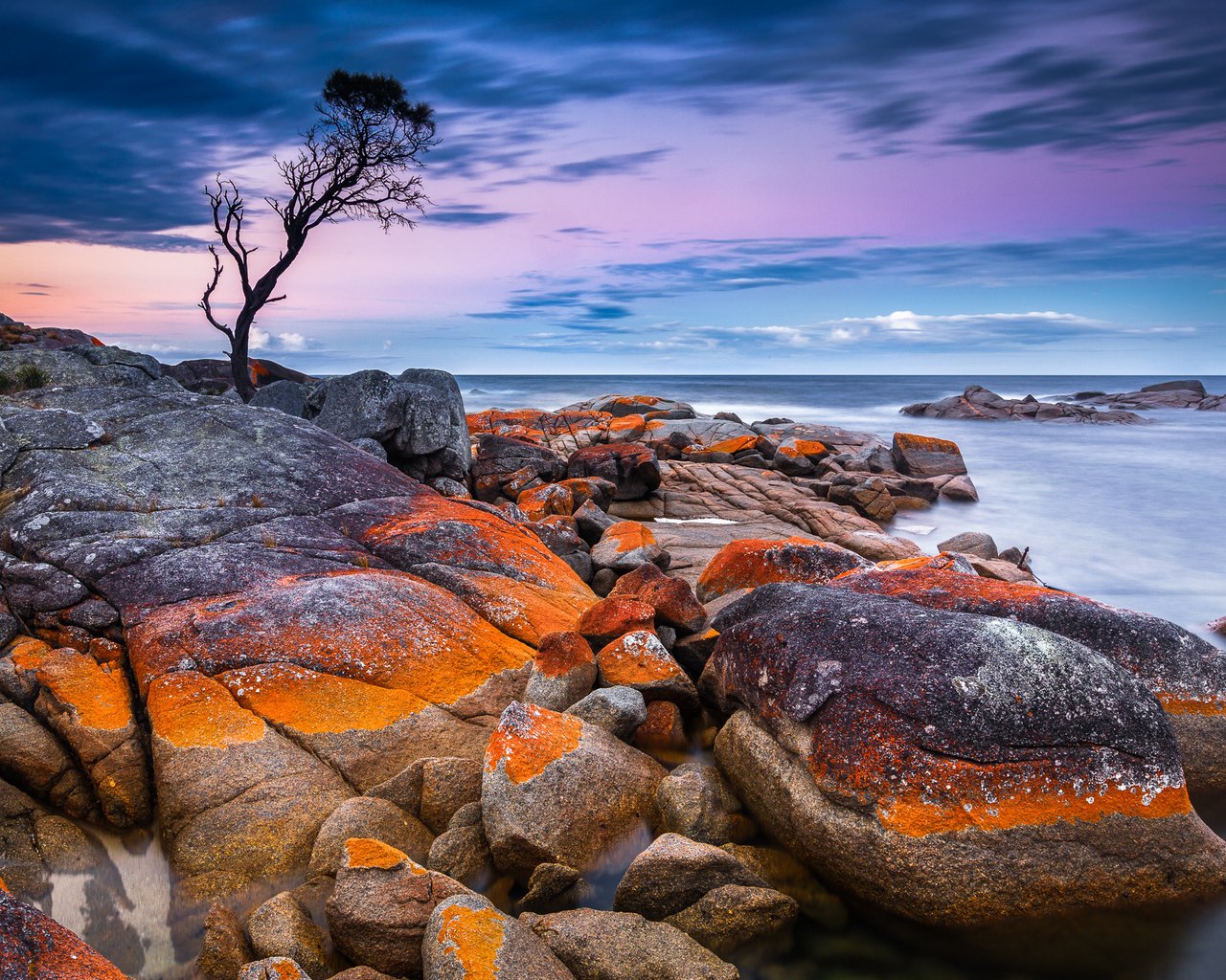 Обои дерево, камни, берег, закат, море, австралия, тасмания, tree, stones, shore, sunset, sea, australia, tasmania разрешение 2048x1365 Загрузить