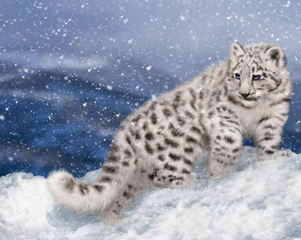 Обои арт, снег, зима, котенок, снежный барс, ирбис, art, snow, winter, kitty, snow leopard, irbis разрешение 1920x1200 Загрузить
