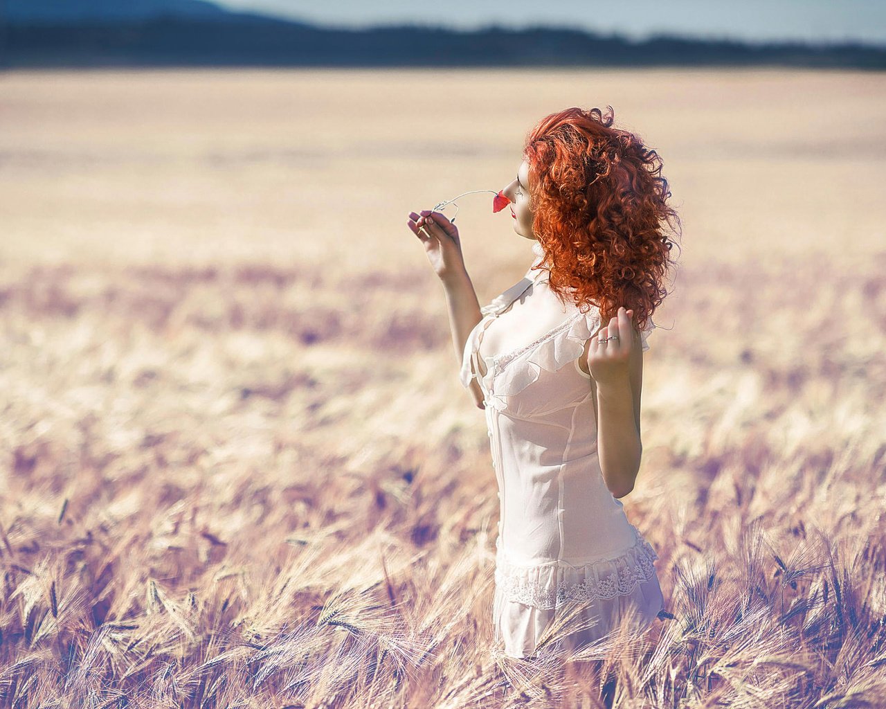 Обои солнце, девушка, поле, лето, цветочек, рыжеволосая, the sun, girl, field, summer, flower, redhead разрешение 2048x1367 Загрузить