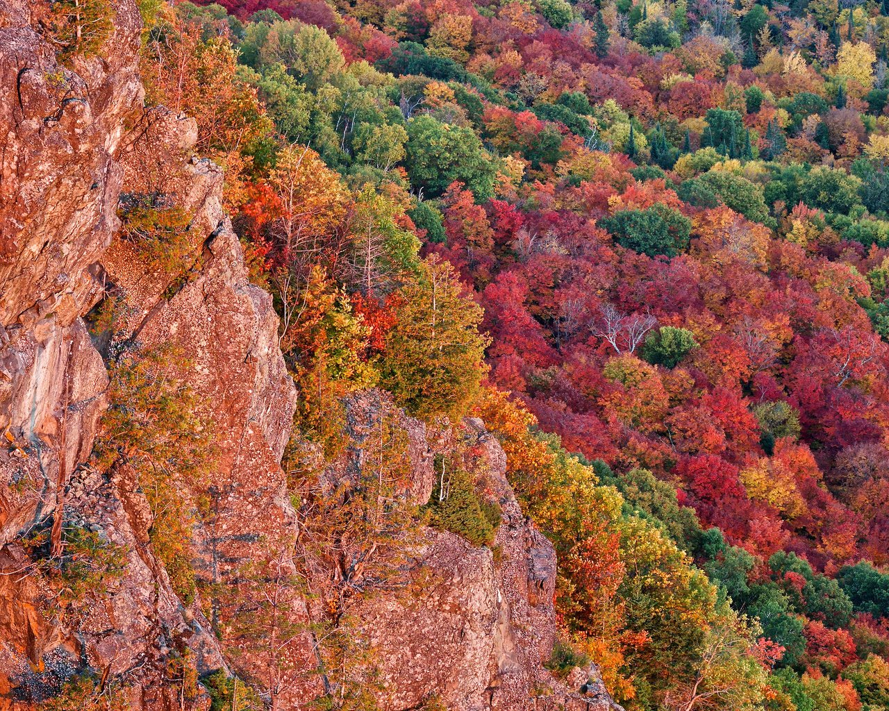 Обои деревья, скалы, лес, осень, сша, багрянец, мичиган, чиппева, trees, rocks, forest, autumn, usa, the crimson, michigan, chippewa разрешение 2048x1365 Загрузить