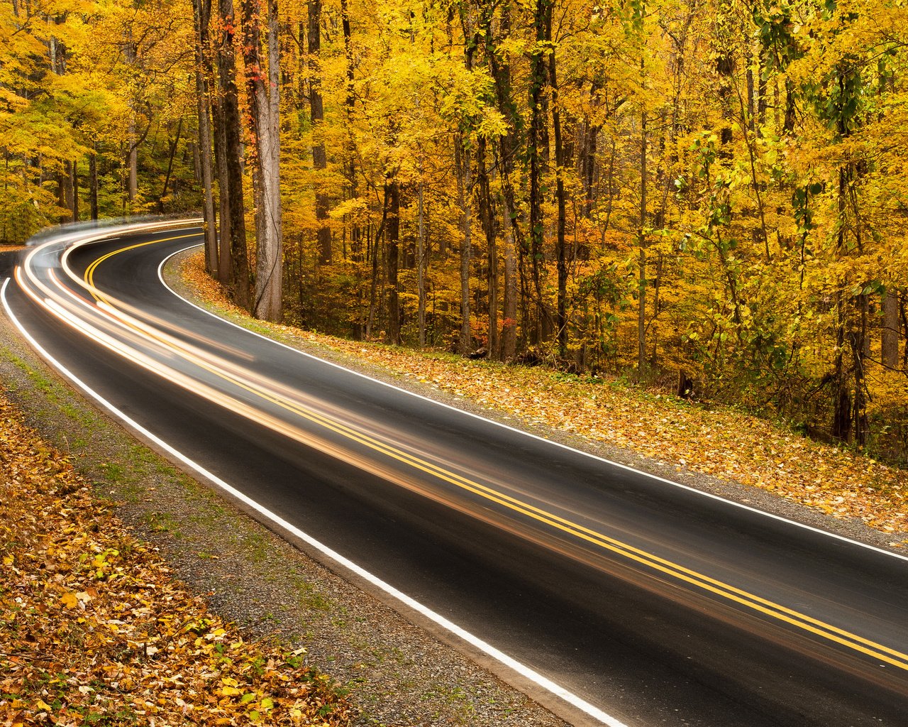 Обои дорога, деревья, природа, листья, парк, осень, road, trees, nature, leaves, park, autumn разрешение 2048x1294 Загрузить