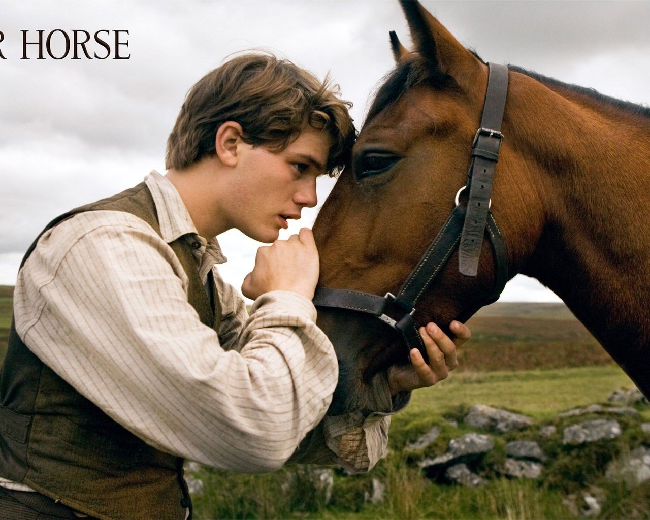 Обои фильм, боевой конь, джереми ирвин, the film, war horse, jeremy irvine разрешение 2560x1600 Загрузить