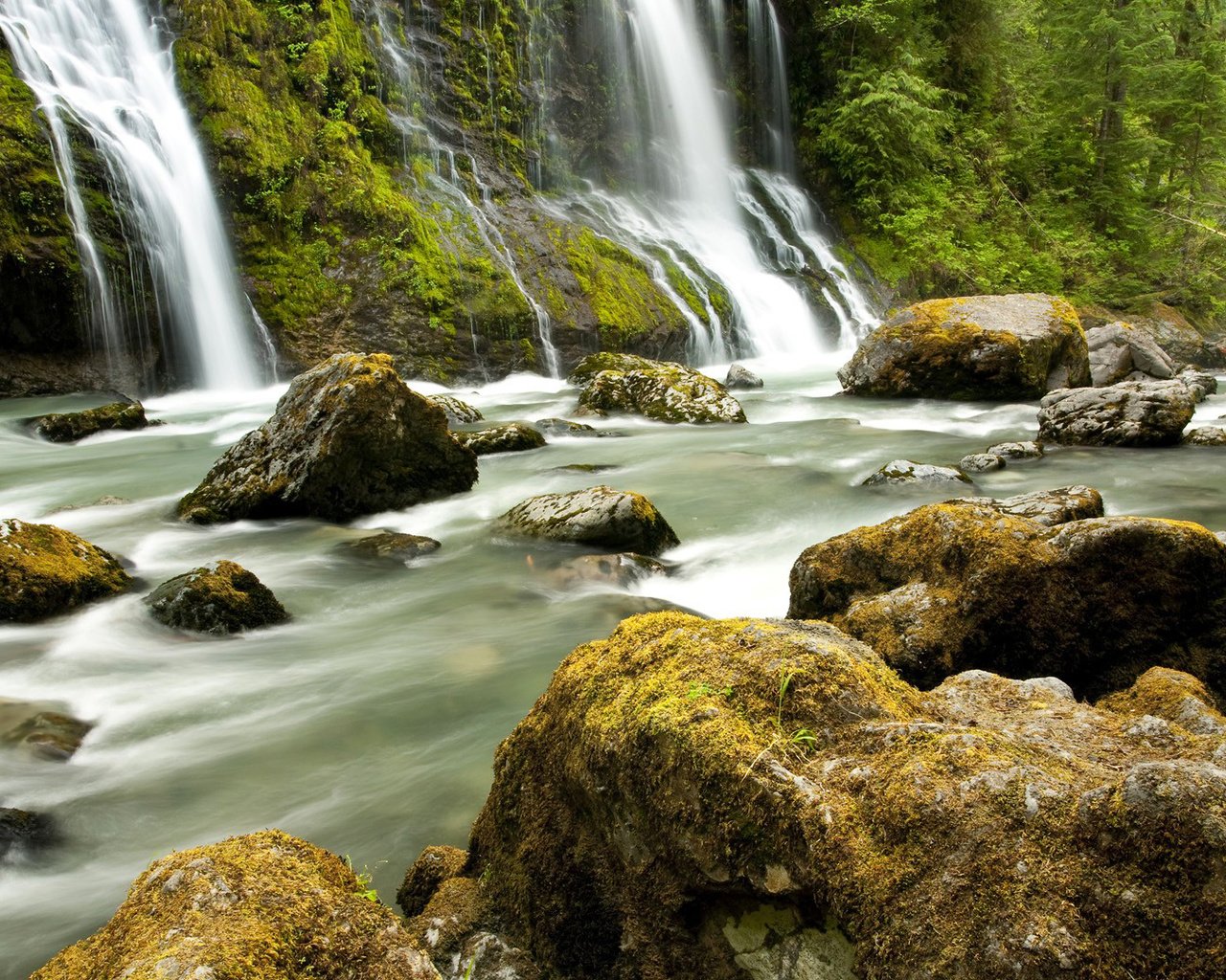 Обои деревья, река, камни, лес, водопад, trees, river, stones, forest, waterfall разрешение 1920x1080 Загрузить