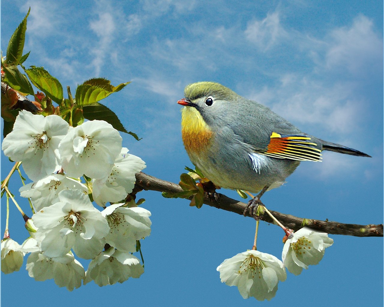 Обои ветка, природа, птица, птица на ветке, branch, nature, bird, bird on a branch разрешение 2148x1754 Загрузить