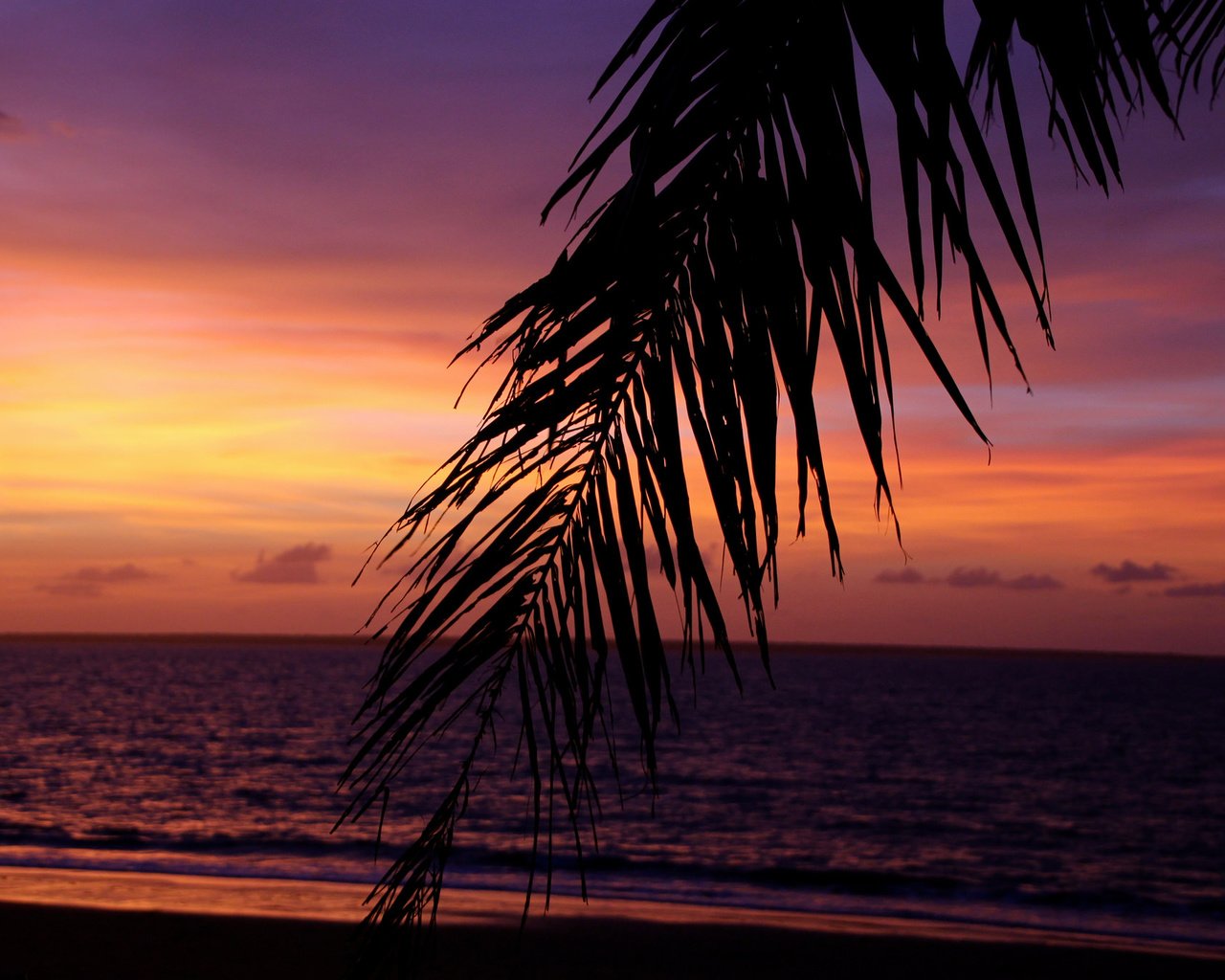 Обои небо, вечер, море, пальмы, тропики, the sky, the evening, sea, palm trees, tropics разрешение 2048x1365 Загрузить