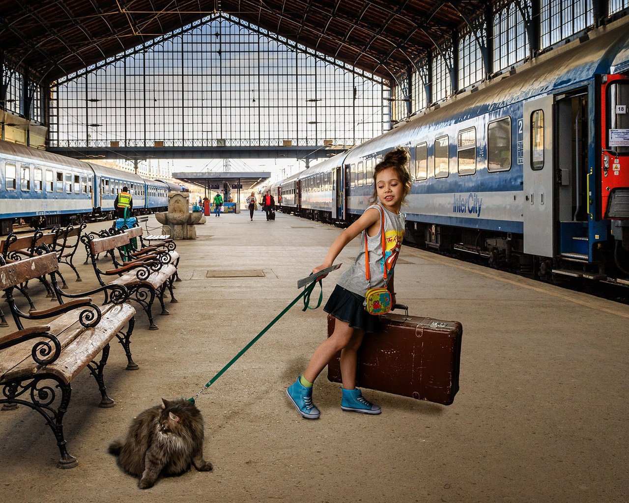 Обои кошка, девочка, поезд, чемодан, вагоны, перрон, cat, girl, train, suitcase, cars, the platform разрешение 1920x1200 Загрузить