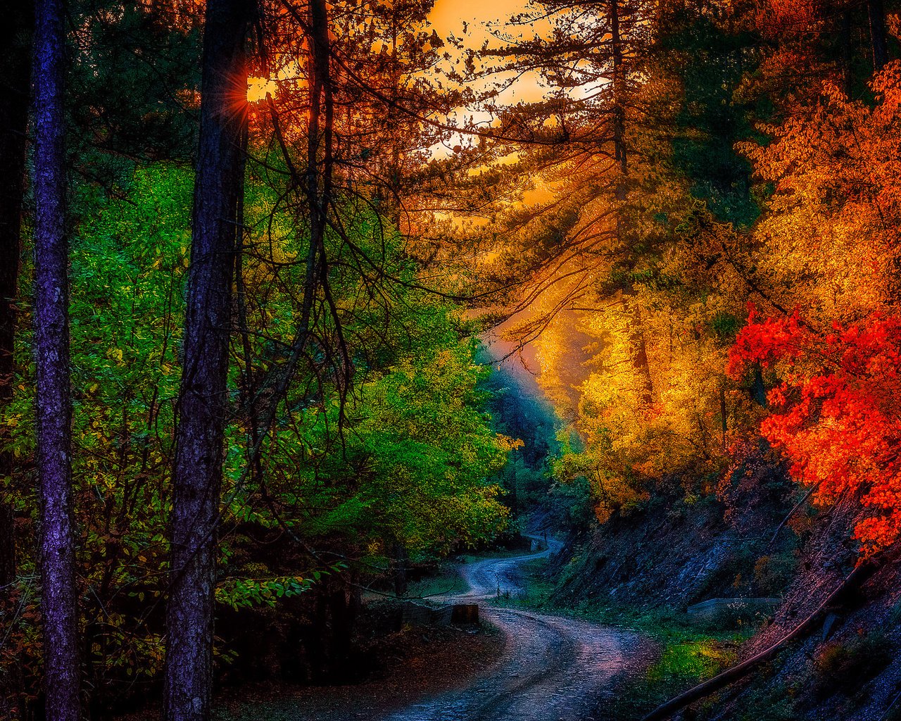 Обои дорога, листья, пейзаж, осень, road, leaves, landscape, autumn разрешение 2048x1152 Загрузить
