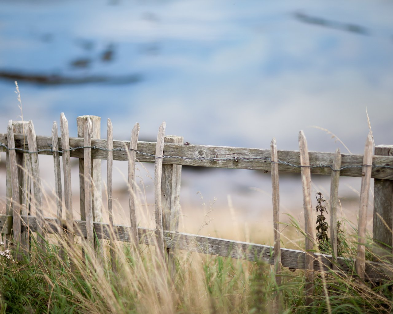 Обои трава, природа, забор, grass, nature, the fence разрешение 2048x1365 Загрузить