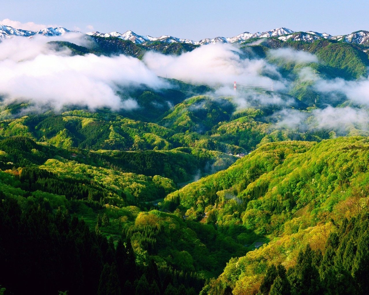 Обои горы, холмы, зелёный, пейзаж, туман, леса, mountains, hills, green, landscape, fog, forest разрешение 1920x1080 Загрузить