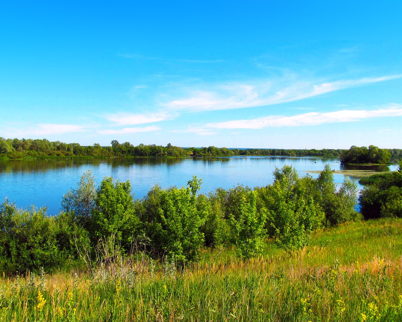 Обои озеро, лето, lake, summer разрешение 2560x1600 Загрузить