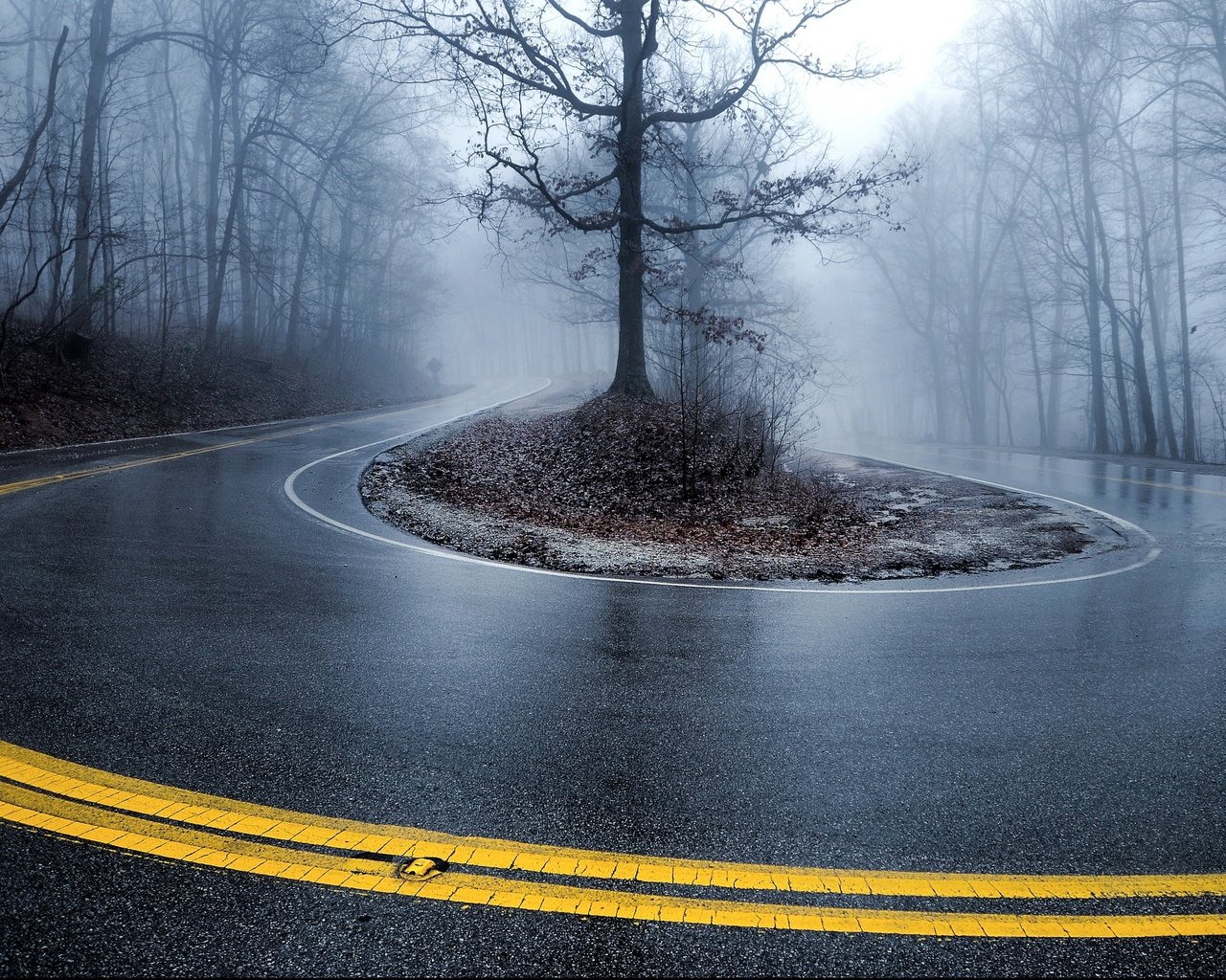 Обои дорога, деревья, туман, осень, поворот, road, trees, fog, autumn, turn разрешение 2880x1804 Загрузить