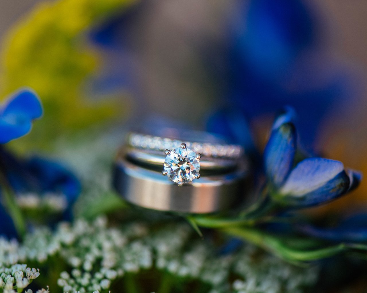 Обои цветы, камень, кольцо, обручальное, синие лепестки, flowers, stone, ring, wedding, blue petals разрешение 6016x4016 Загрузить