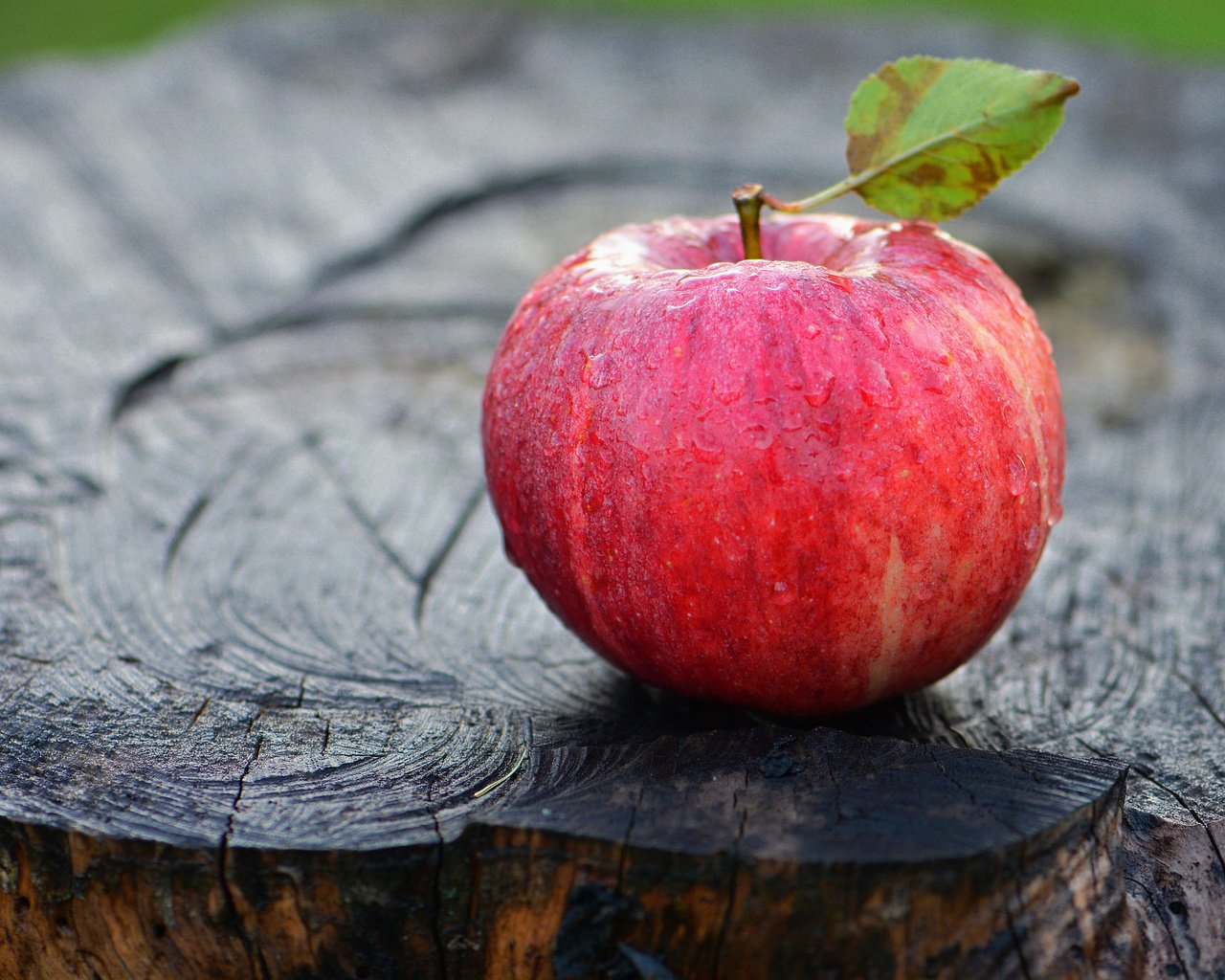 Обои макро, яблоко, пень, macro, apple, stump разрешение 2048x1365 Загрузить