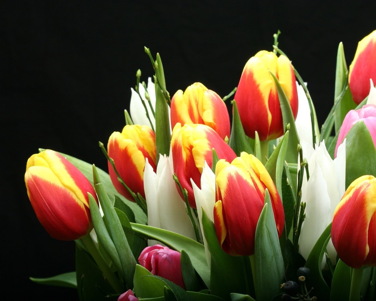 Обои бутоны, букет, тюльпаны, buds, bouquet, tulips разрешение 2048x1365 Загрузить