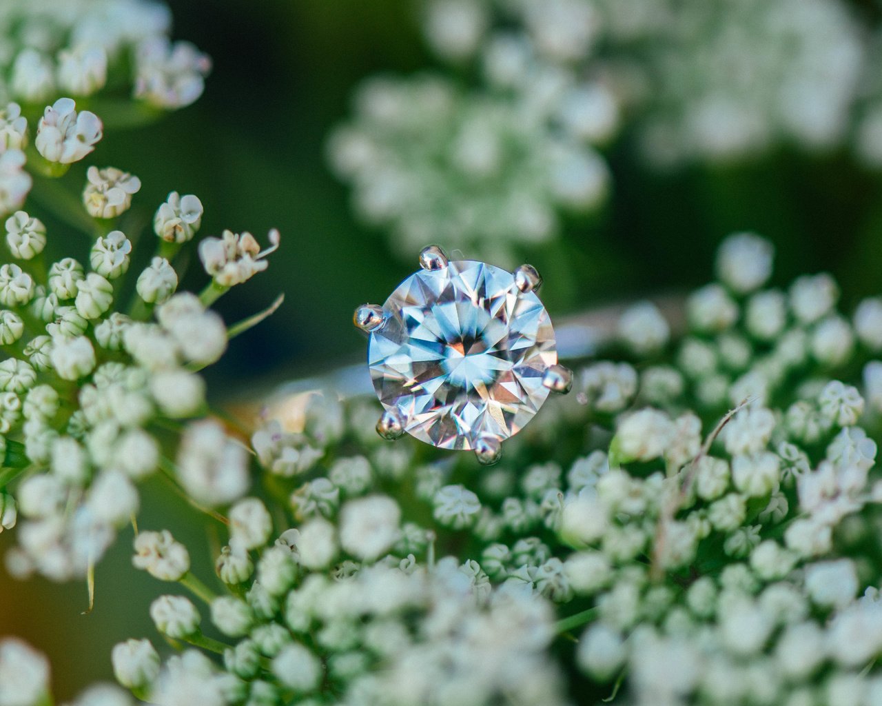 Обои цветы, камень, кольцо, обручальное, flowers, stone, ring, wedding разрешение 6016x4016 Загрузить