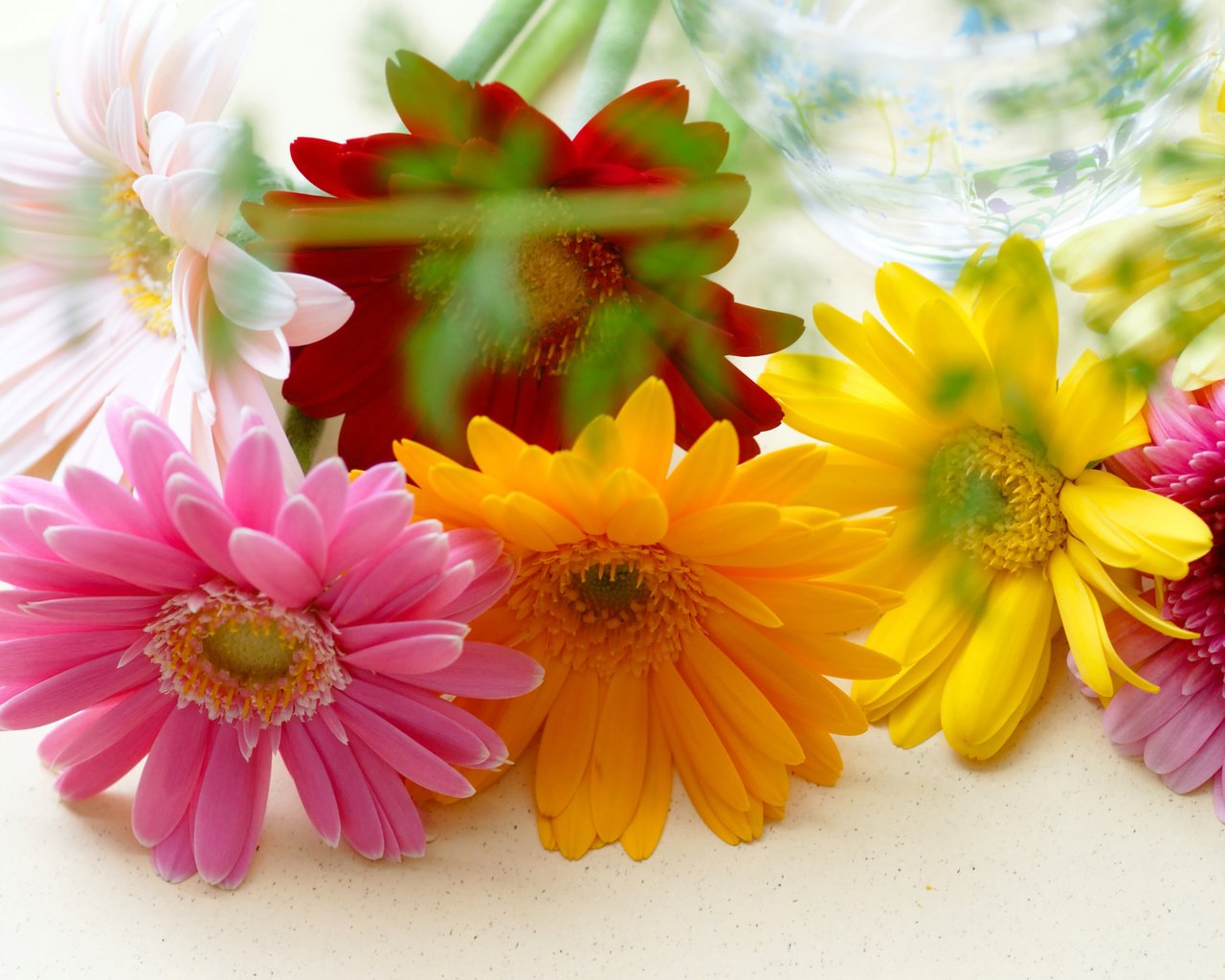 Обои цветы, разноцветные, герберы, flowers, colorful, gerbera разрешение 4272x2400 Загрузить