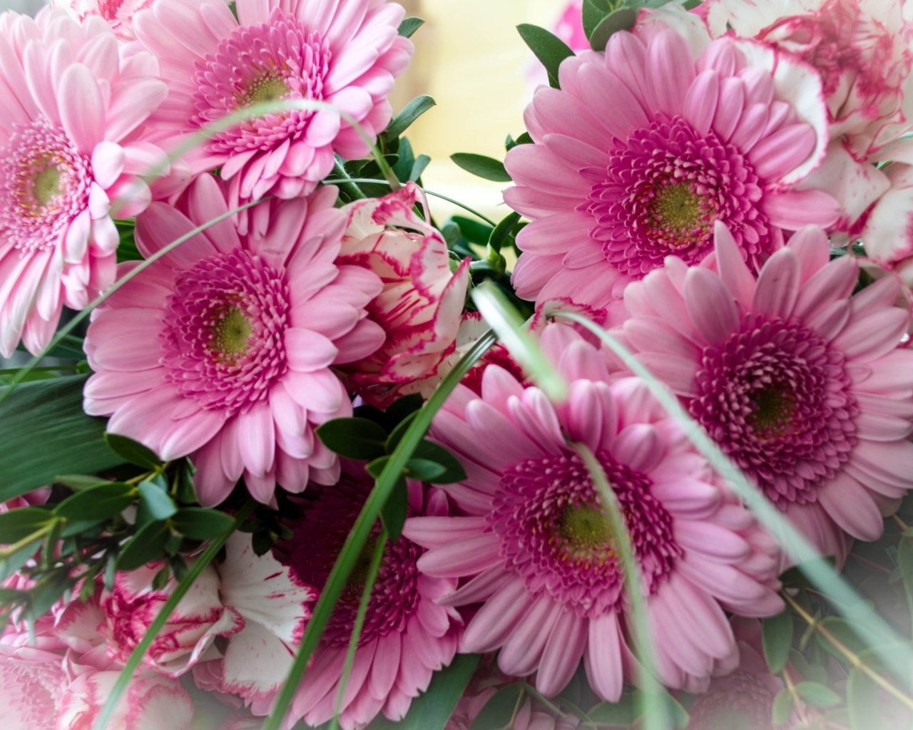 Обои букет, розовый, герберы, bouquet, pink, gerbera разрешение 2050x1295 Загрузить