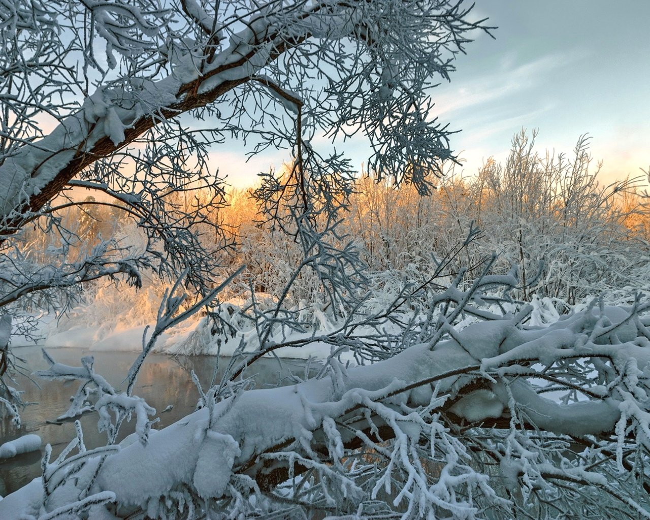 Обои деревья, река, снег, зима, ветки, trees, river, snow, winter, branches разрешение 1920x1285 Загрузить