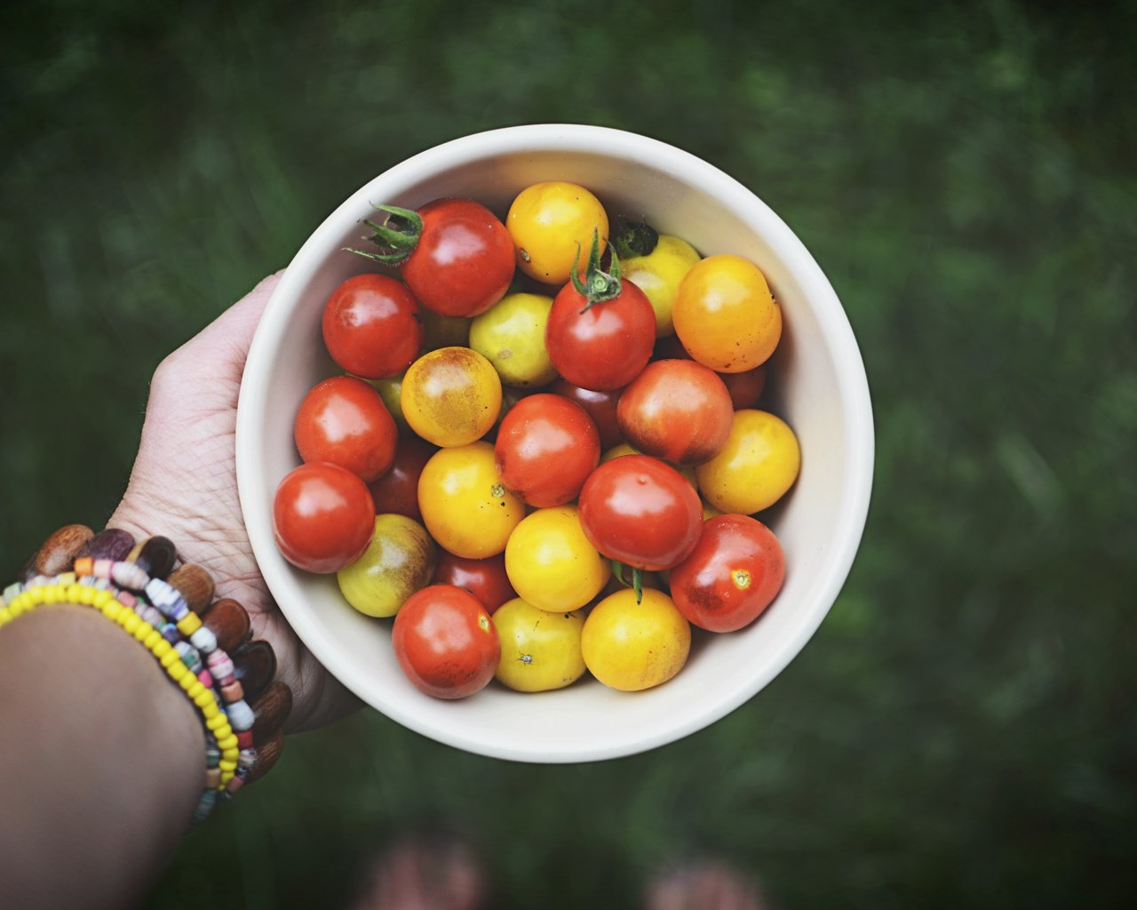 Обои рука, овощи, помидоры, томаты, hand, vegetables, tomatoes разрешение 6000x4000 Загрузить