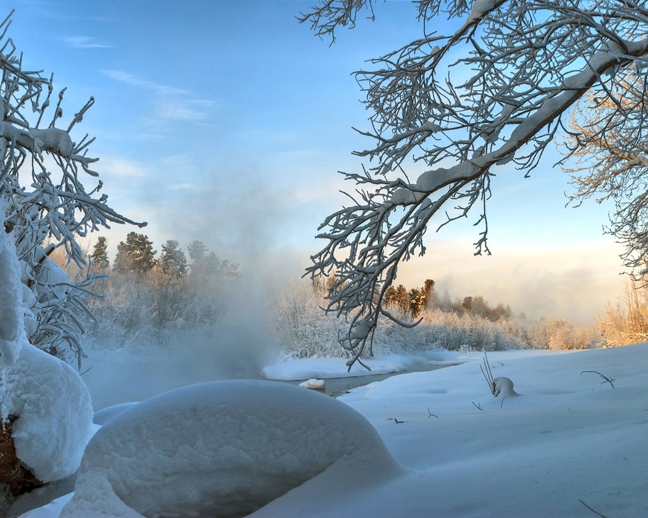 Обои деревья, снег, зима, ветки, trees, snow, winter, branches разрешение 1920x1285 Загрузить