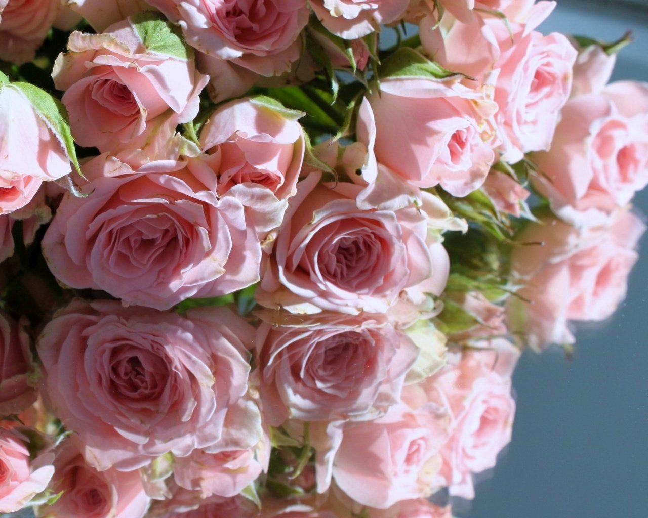 Обои отражение, розы, розовые, reflection, roses, pink разрешение 2000x1331 Загрузить