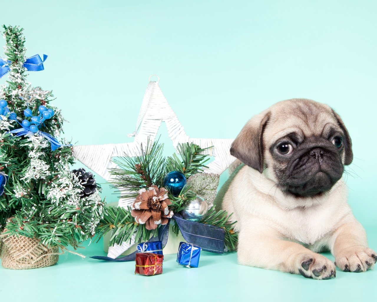 Обои новый год, елка, щенок, мопс, new year, tree, puppy, pug разрешение 3200x1938 Загрузить