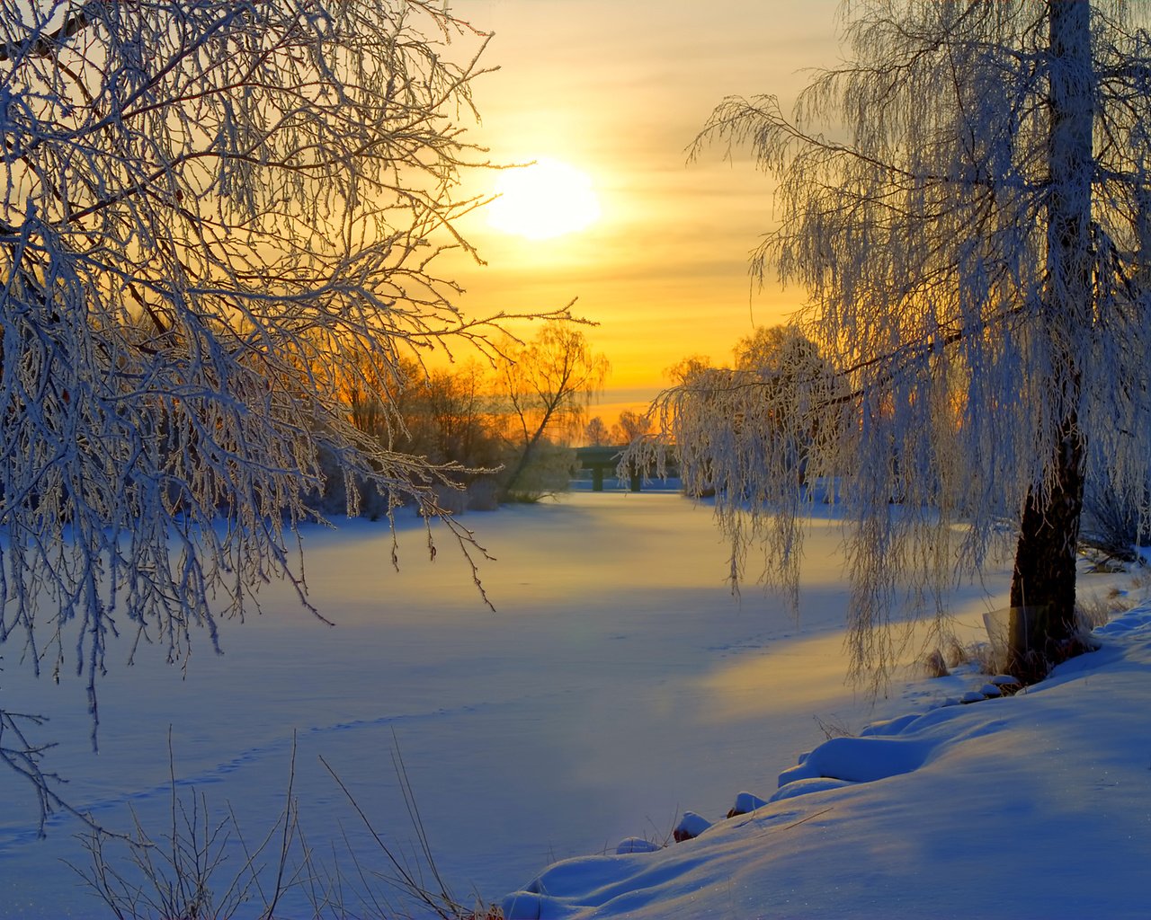 Обои снег, закат, зима, деревь, валлпапер, snow, sunset, winter, trees, wallpaper разрешение 2000x1332 Загрузить