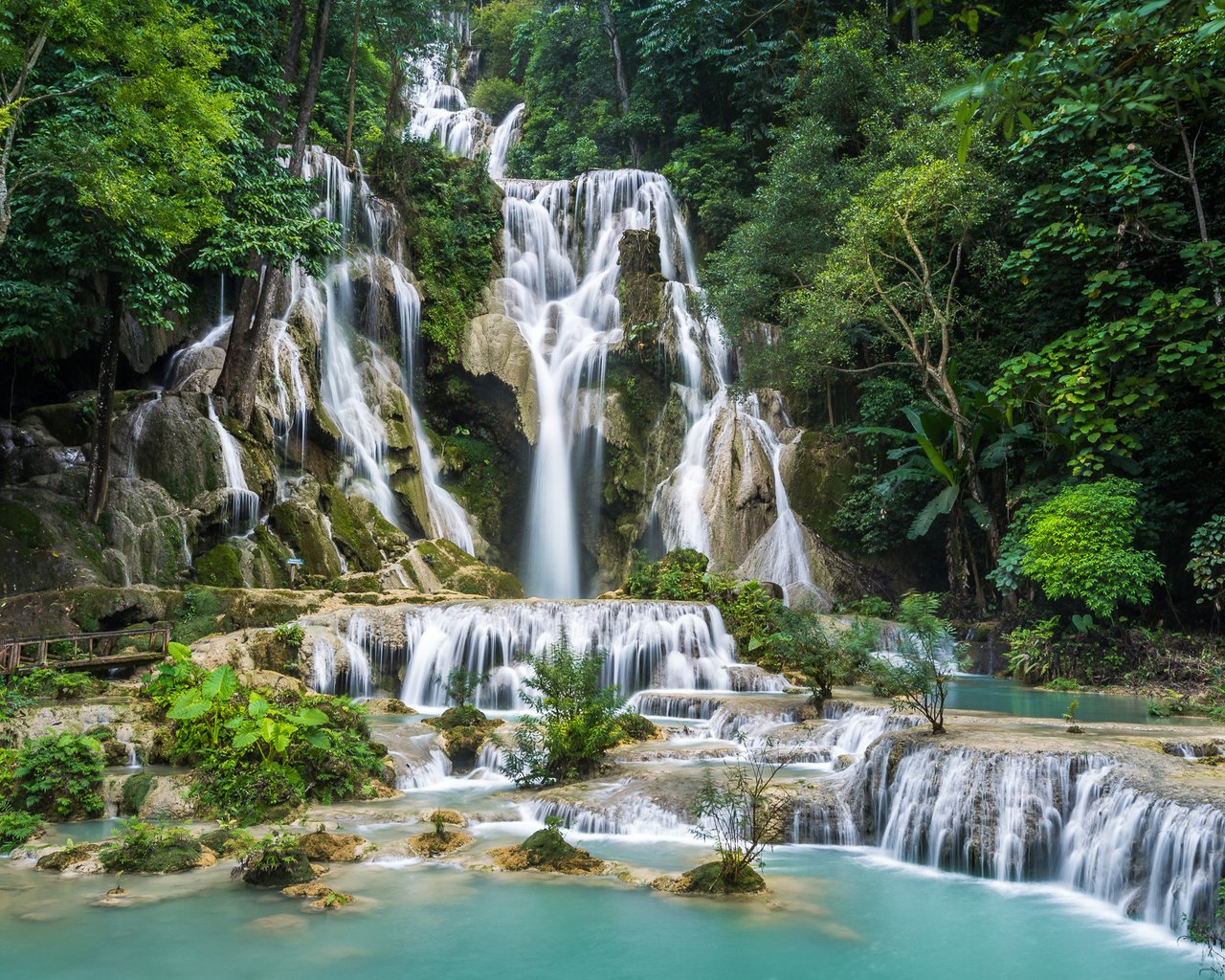 Обои деревья, тропики, камни, джунгли, зелень, лаос, лес, kuang si falls, скала, кусты, водопад, мох, trees, tropics, stones, jungle, greens, laos, forest, rock, the bushes, waterfall, moss разрешение 1920x1280 Загрузить