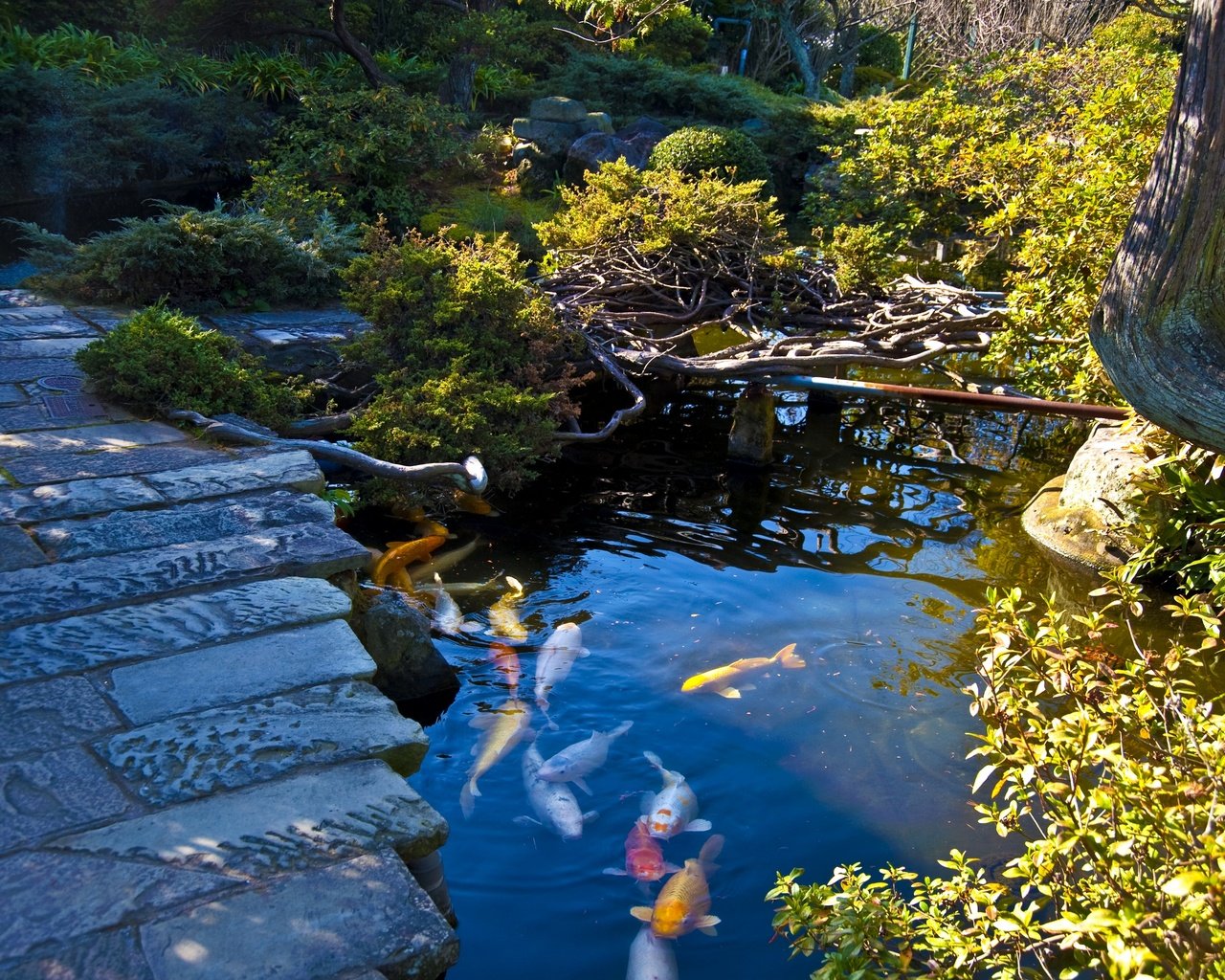 Обои камни, японский сад, дорожка, нагасаки, кусты, япония, сад, разноцветная, пруд, рыба, stones, japanese garden, track, nagasaki, the bushes, japan, garden, colorful, pond, fish разрешение 2880x1916 Загрузить