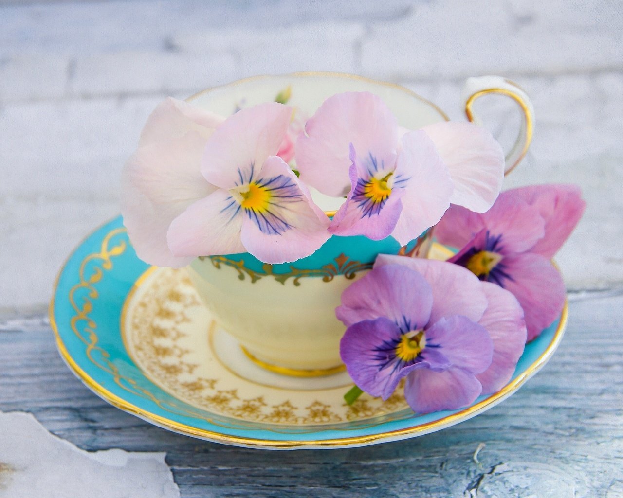 Обои лепестки, блюдце, чашка, анютины глазки, виола, petals, saucer, cup, pansy, viola разрешение 2043x1536 Загрузить