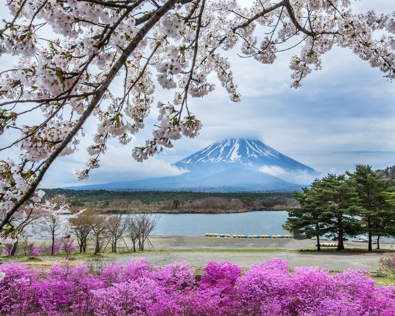 Обои цветы, гора, япония, весна, сакура, фудзияма, flowers, mountain, japan, spring, sakura, fuji разрешение 2048x1365 Загрузить