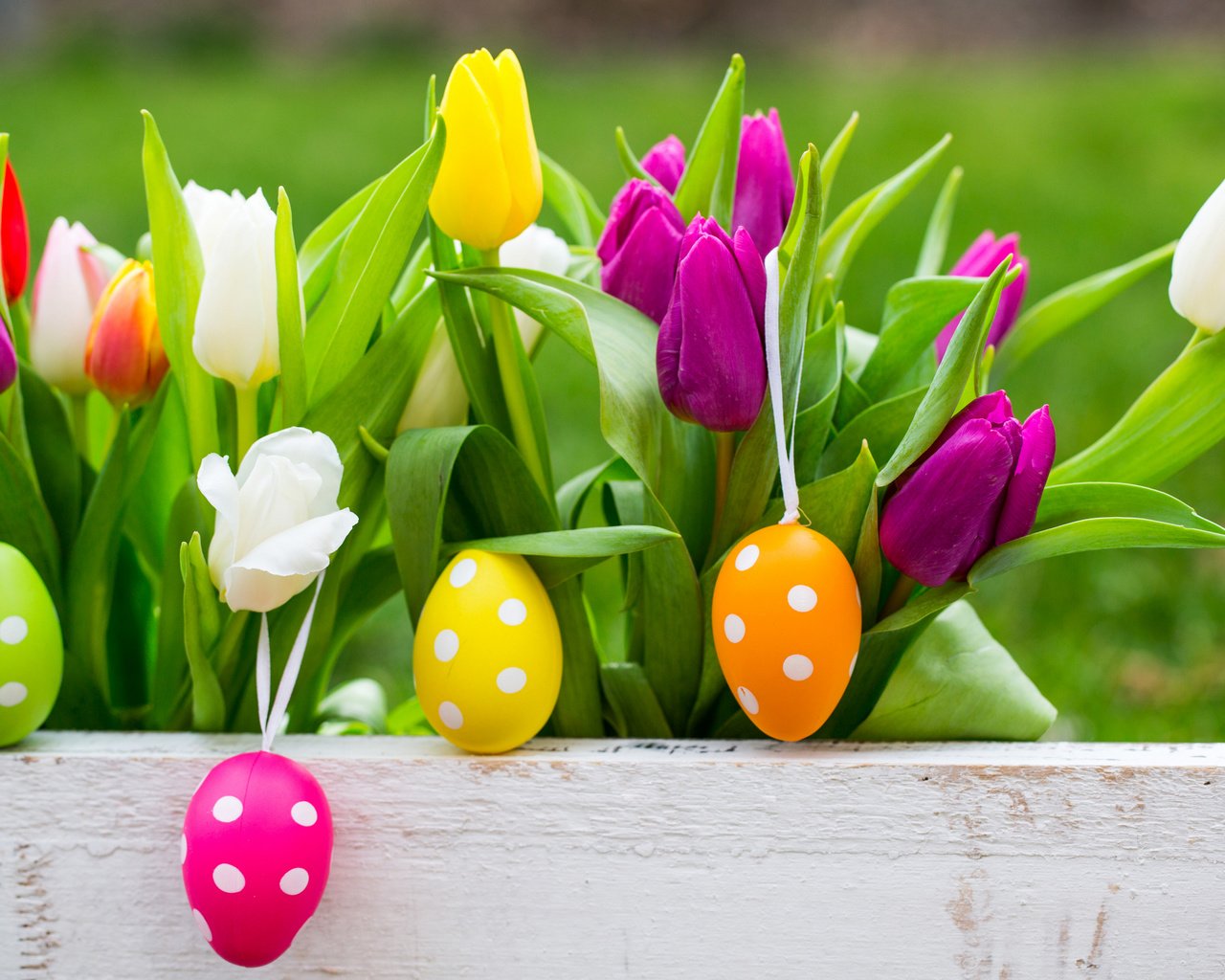 Обои весна, тюльпаны, пасха, яйца, тульпаны, глазунья, весенние, зеленые пасхальные, spring, tulips, easter, eggs разрешение 2880x1867 Загрузить