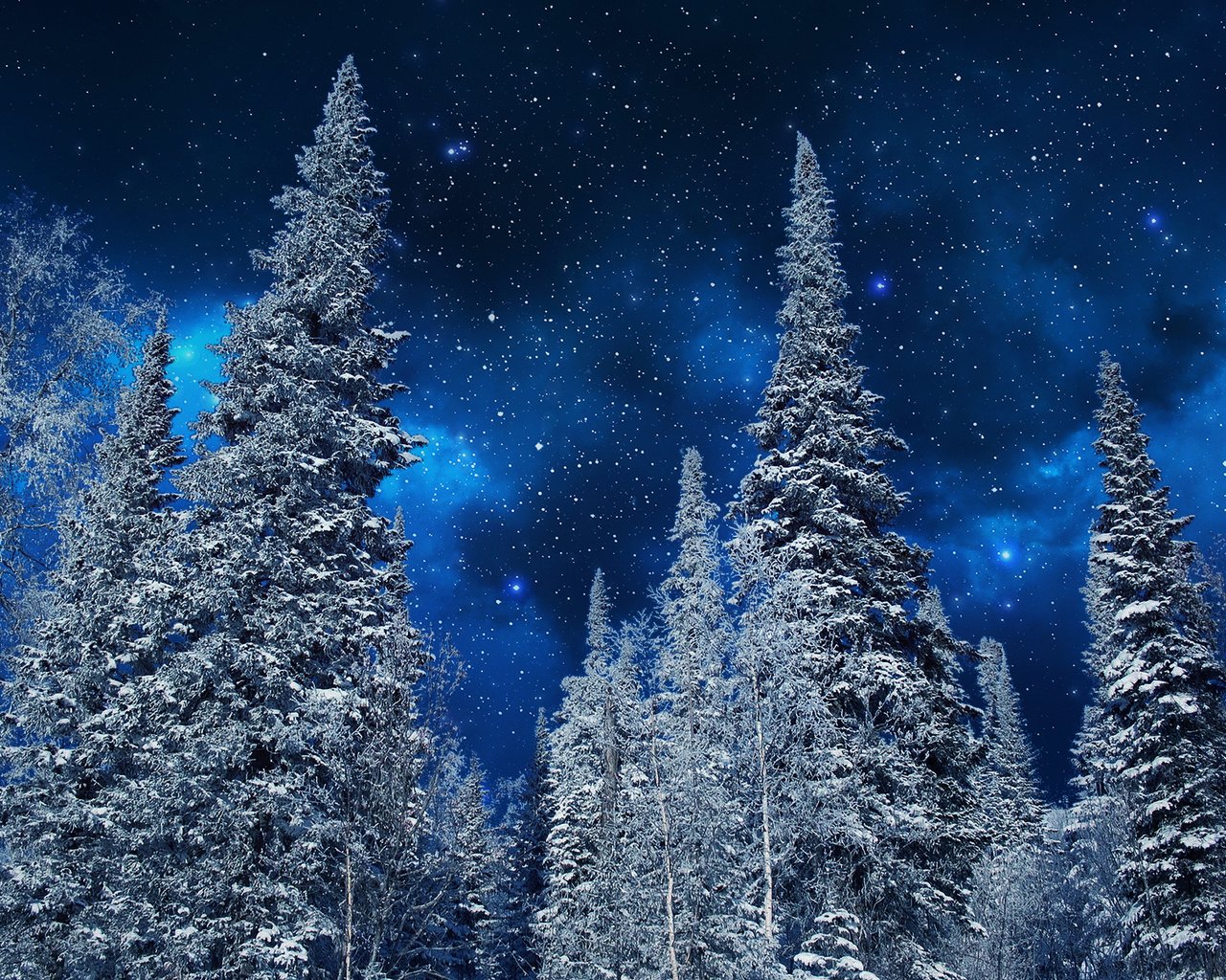 Обои небо, ели, ночь, неба, деревья, деревь, на природе, снег, ноч, звезд, природа, зима, звезды, мороз, the sky, ate, night, sky, trees, snow, nature, winter, stars, frost разрешение 1920x1200 Загрузить