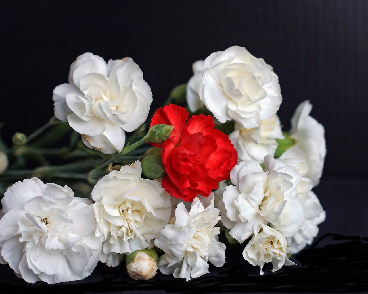 Обои фон, букет, гвоздики, background, bouquet, clove разрешение 2048x1412 Загрузить