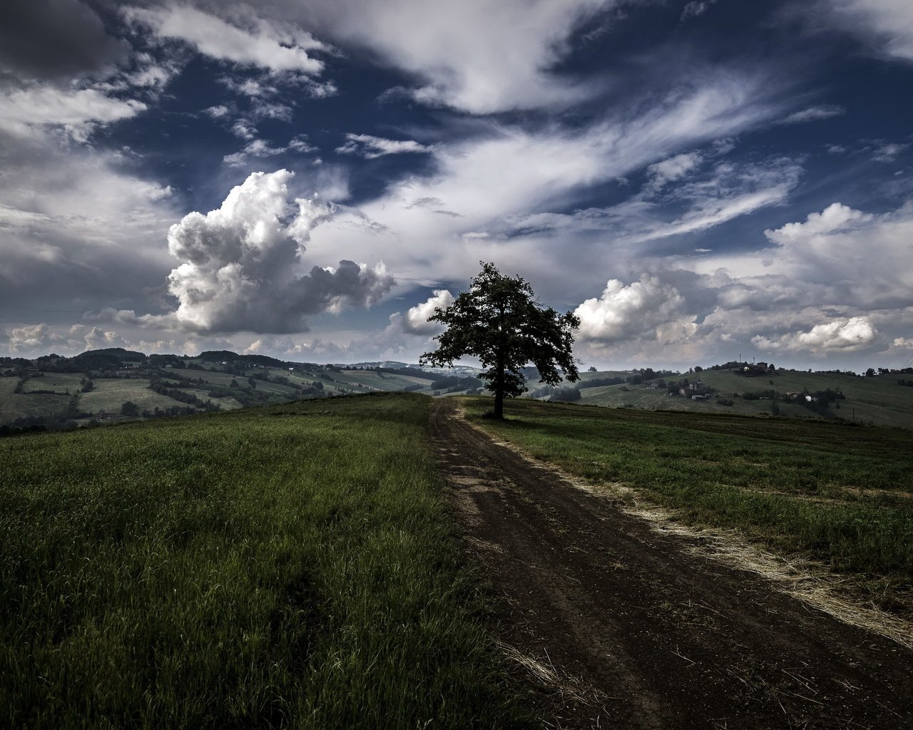 Обои дорога, дерево, поле, road, tree, field разрешение 2048x1367 Загрузить