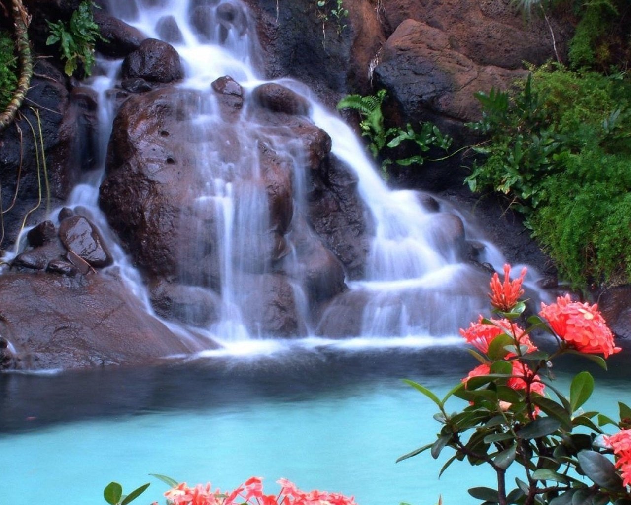 Цветы на фоне водопада