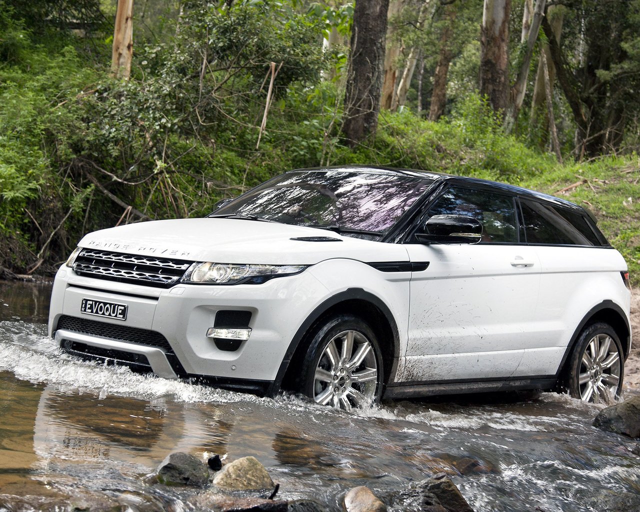 Обои купе, dynamic, range rover evoque, evoque, ленд ровер, эвок, ренж ровер, coupe, land rover, ewok, range rover разрешение 1920x1200 Загрузить