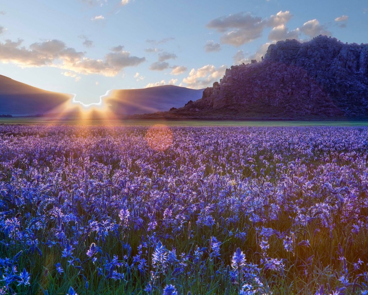 Обои небо, цветы, облака, природа, закат, пейзаж, поле, солнечные лучи, the sky, flowers, clouds, nature, sunset, landscape, field, the sun's rays разрешение 2880x1800 Загрузить