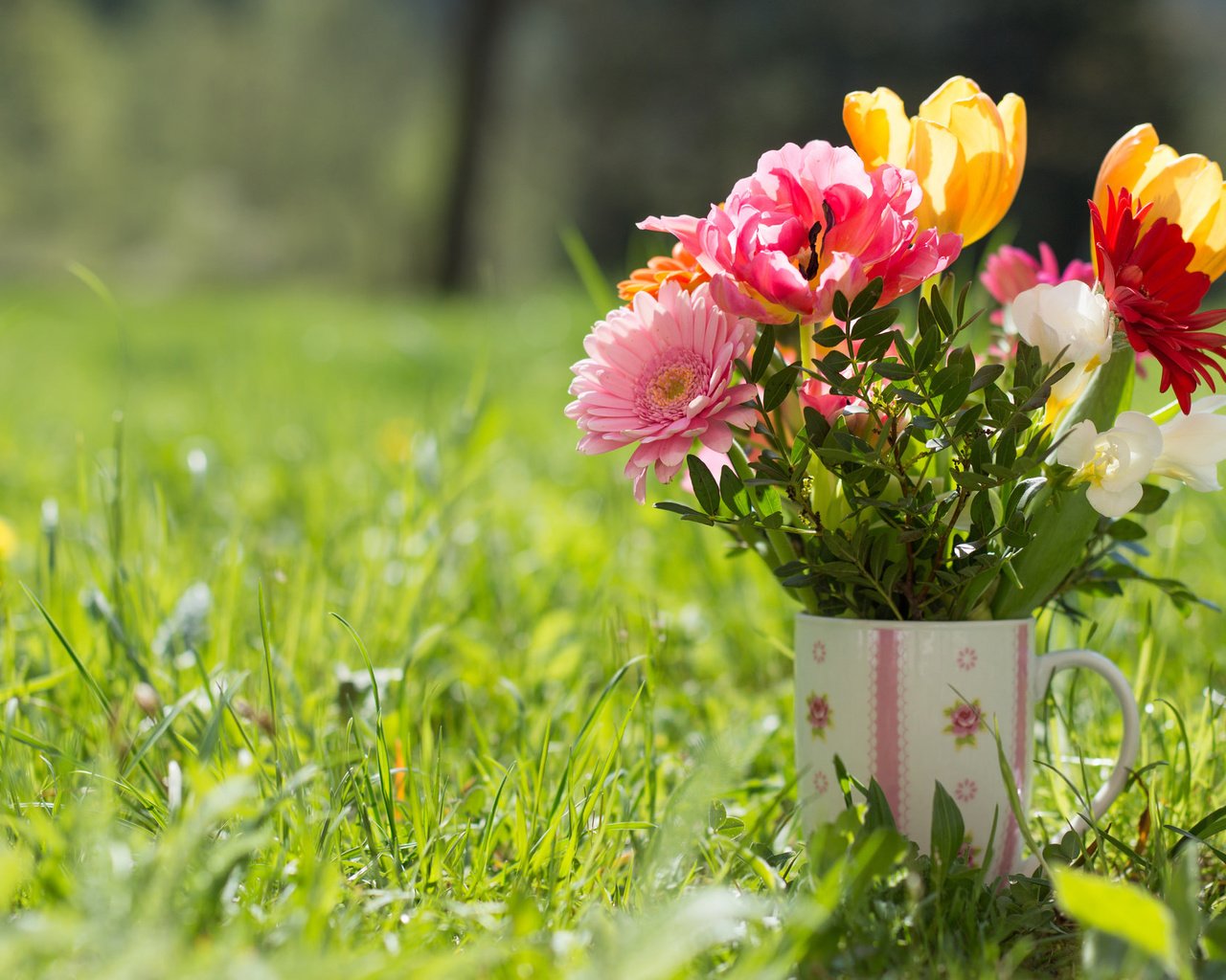 Обои трава, кружка, букет, тюльпаны, герберы, grass, mug, bouquet, tulips, gerbera разрешение 2048x1362 Загрузить