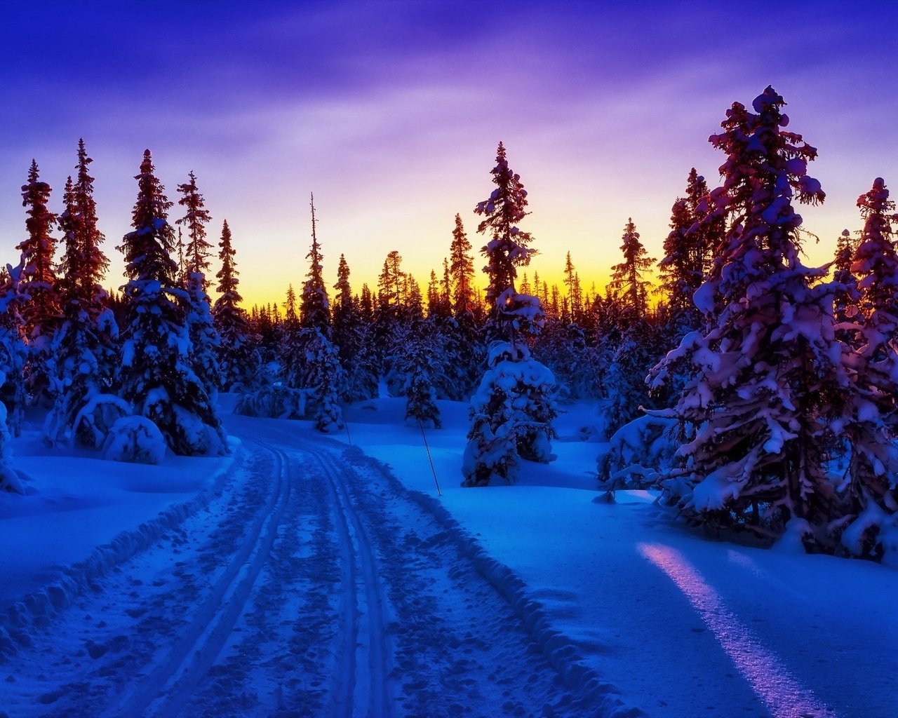 Обои дорога, деревья, лес, закат, зима, пейзаж, road, trees, forest, sunset, winter, landscape разрешение 1920x1200 Загрузить