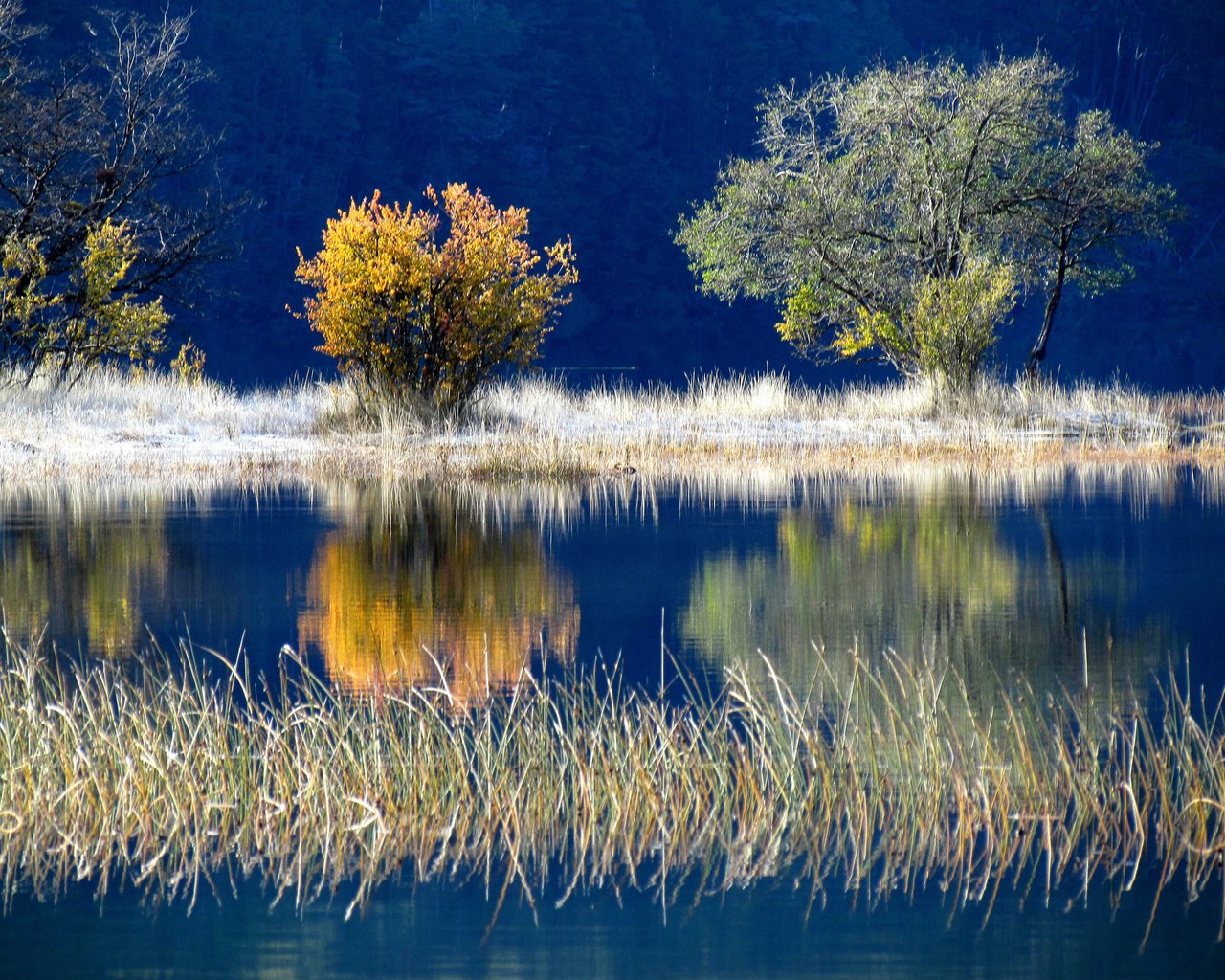 Обои деревья, озеро, осень, trees, lake, autumn разрешение 2048x1536 Загрузить