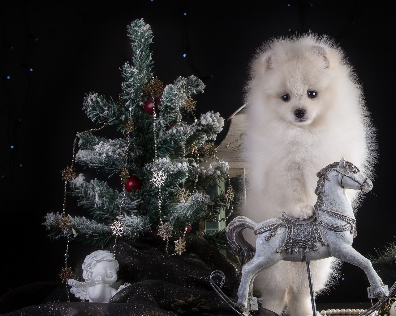 Обои новый год, белый, щенок, ангел, ель, праздник, конь, шпиц, new year, white, puppy, angel, spruce, holiday, horse, spitz разрешение 3300x2105 Загрузить