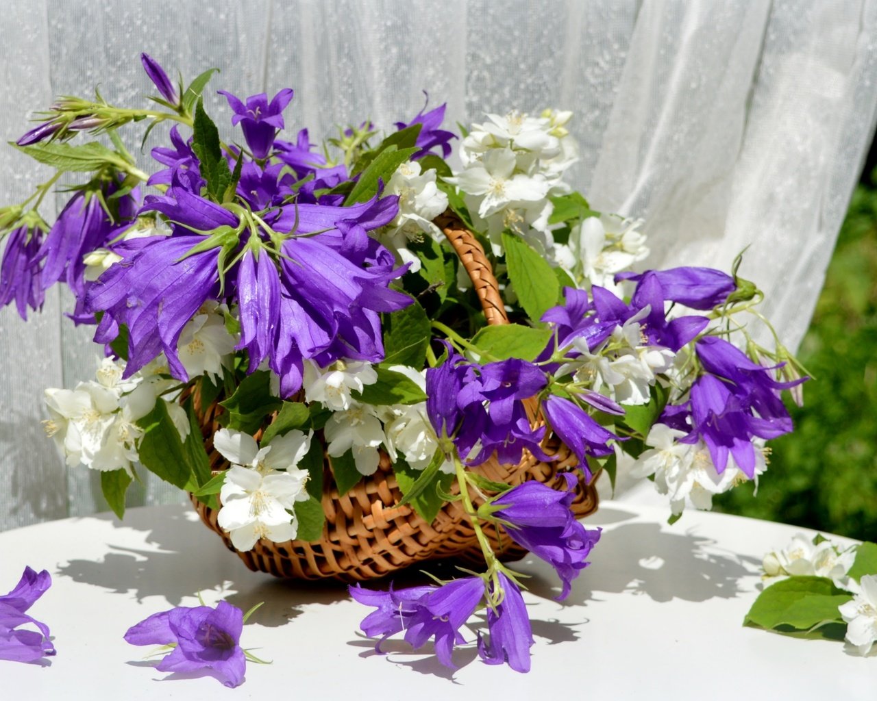 Обои букет, корзина, колокольчики, жасмин, bouquet, basket, bells, jasmine разрешение 2400x1565 Загрузить