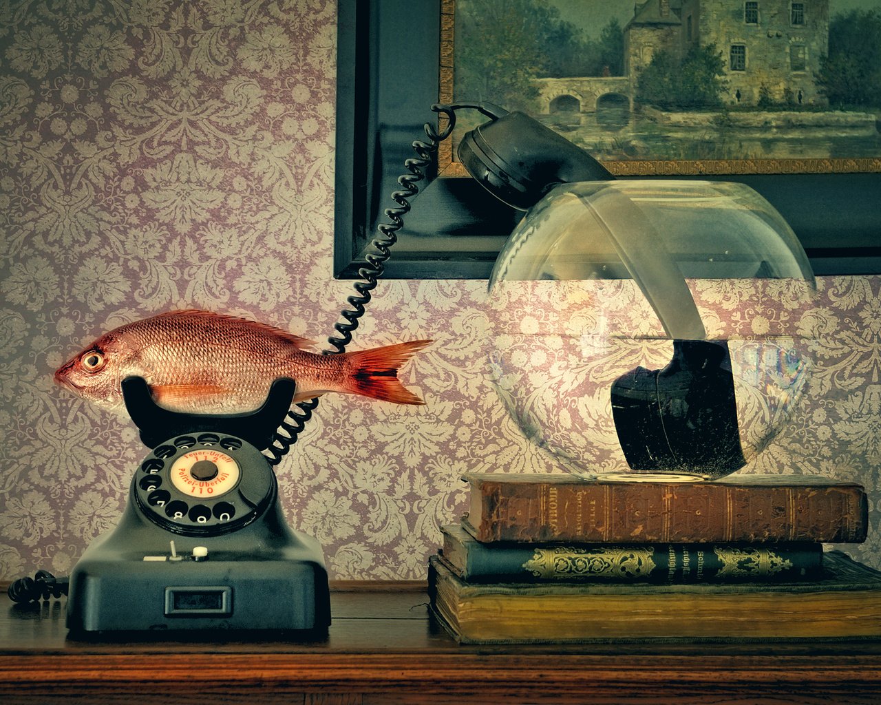 Обои телефон, трубка, аквариум, рыба, phone, tube, aquarium, fish разрешение 2000x1328 Загрузить