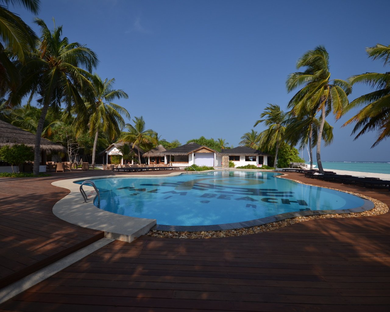 Обои пальмы, бассейн, океан, курорт, palm trees, pool, the ocean, resort разрешение 4928x3264 Загрузить