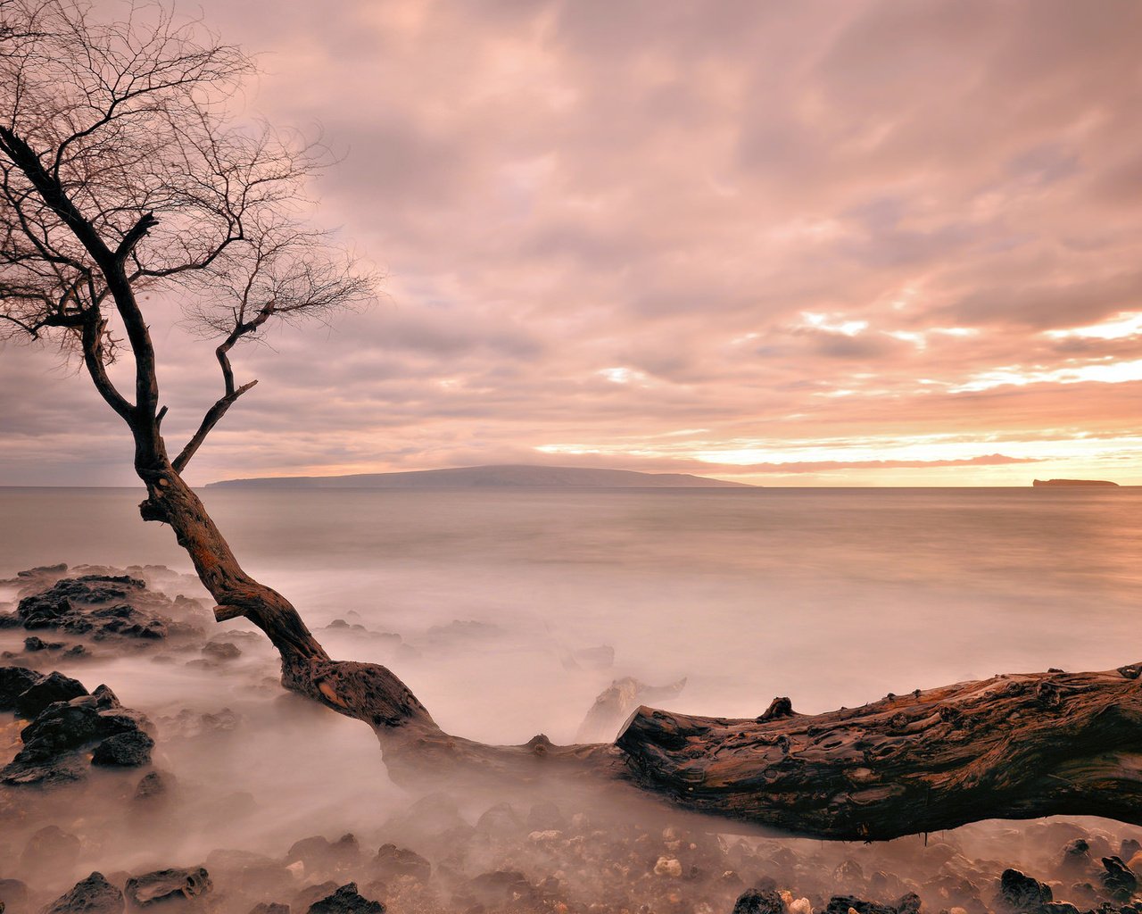 Обои вечер, дерево, закат, море, туман, горизонт, the evening, tree, sunset, sea, fog, horizon разрешение 2048x1152 Загрузить