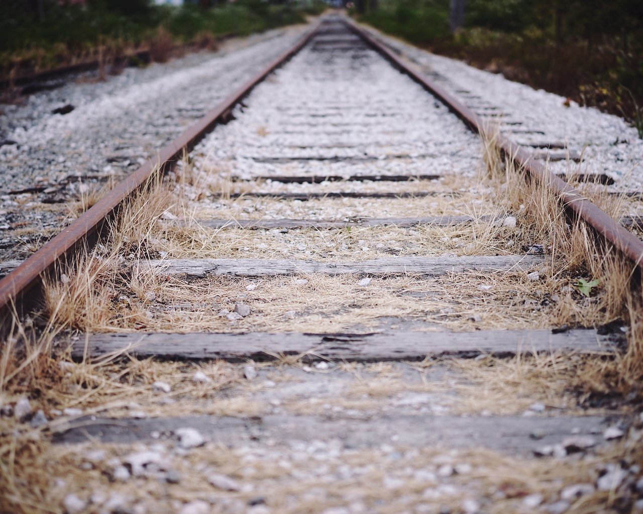 Обои железная дорога, рельсы, шпалы, камни, путь, гравий, railroad, rails, sleepers, stones, the way, gravel разрешение 2048x1365 Загрузить